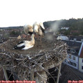 05_20-nest.jpg