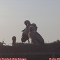 06_40-mast.jpg