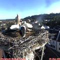 07_10-nest.jpg