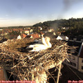 07_45-nest.jpg