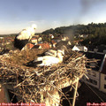 07_55-nest.jpg
