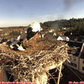 08_15-nest.jpg