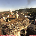 08_20-nest.jpg