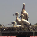 13_05-mast.jpg