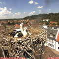 13_40-nest.jpg