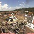 13_45-nest.jpg