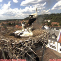 15_10-nest.jpg
