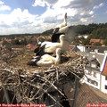 15_25-nest.jpg
