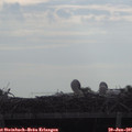 08_00-mast.jpg