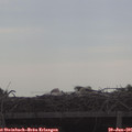 08_50-mast.jpg