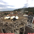 08_50-nest.jpg