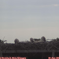 08_55-mast.jpg