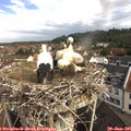 09_25-nest.jpg