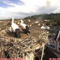 09_40-nest.jpg