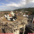 09_45-nest.jpg