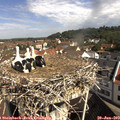 10_05-nest.jpg