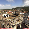 10_20-nest.jpg