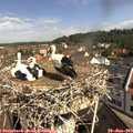 10_25-nest.jpg