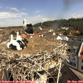 10_30-nest.jpg