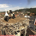 10_35-nest.jpg