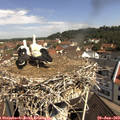 10_40-nest.jpg