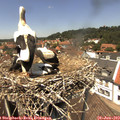 13_20-nest.jpg
