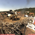 15_10-nest.jpg