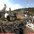 17_15-nest.jpg