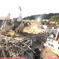 17_30-nest.jpg