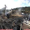 18_45-nest.jpg