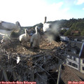 19_15-nest.jpg