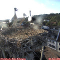 19_30-nest.jpg