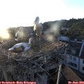 20_25-nest.jpg