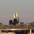 20_30-mast.jpg