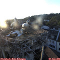 20_30-nest.jpg