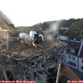 20_45-nest.jpg