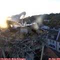 20_50-nest.jpg