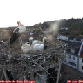 21_25-nest.jpg