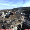 07_55-nest.jpg