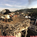 08_15-nest.jpg
