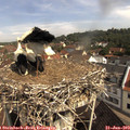10_05-nest.jpg