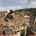10_25-nest.jpg