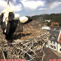 12_20-nest.jpg