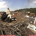 13_25-nest.jpg