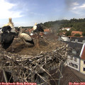 13_30-nest.jpg