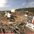13_35-nest.jpg