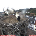 16_10-nest.jpg