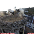 20_00-nest.jpg