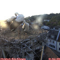 20_30-nest.jpg