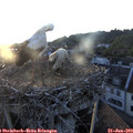 20_35-nest.jpg
